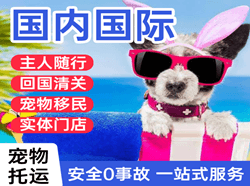 天津机场邮寄国际宠物托运 【国